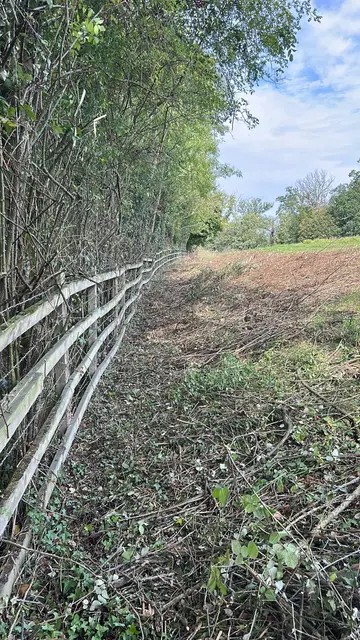 Fence line and bank cleared
