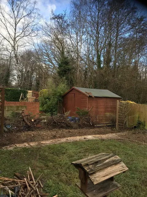 Garden cleared of overgrowth around a shed