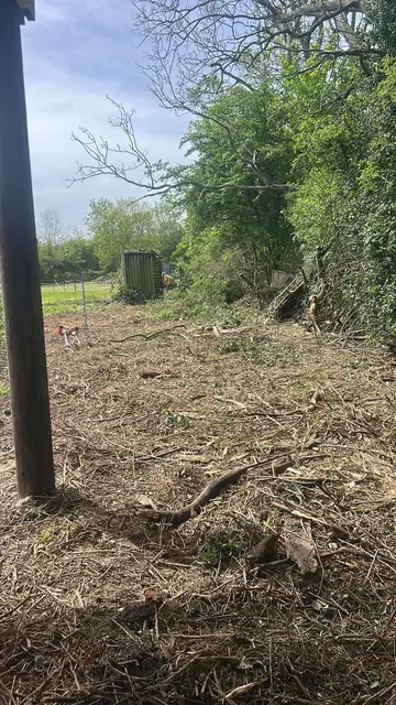 Overgrown ground cleared back